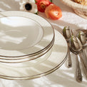 Opal Innocence 5-piece Place Setting